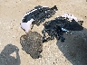 1GNSKPKD9MR****** Wrecked 2021 Chevrolet Tahoe in Texas State