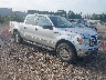 1FTFW1ET1DF****** Salvamento y Destrozados 2013 Ford F-150 en Birmingham