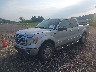 1FTFW1ET1DF****** Usados y Reparables 2013 Ford F-150 en Birmingham