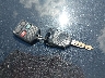 1FAHP37NX7W****** Salvage 2007 Ford Focus in Alabama State