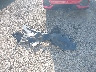 SHHFK7H96JU****** Wrecked 2018 Honda Civic in Ohio State