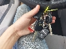 1HGCP2F30CA****** Salvamento 2012 Honda Accord en Estado de Dakota del Sur