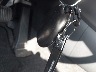 5NMJCCDE0SH****** Salvage 2025 Hyundai Tucson in New Jersey State