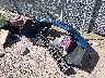 3N1AB6AP2CL****** Salvage 2012 Nissan Sentra in Wisconsin State