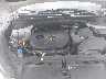 KM8J3CA4XKU****** Repairable 2019 Hyundai Tucson in Bridgeport