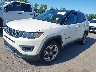 3C4NJDCB1KT****** Usados y Reparables 2019 Jeep Compass en Cleveland