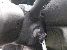 3N1CN7AP6JL****** Salvamento 2018 Nissan Versa en Estado de Tennessee