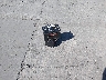 3FA6P0H70ER****** Destrozados 2014 Ford Fusion en Estado de California