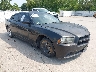 2C3CDXBG4DH****** Salvamento y Destrozados 2013 Dodge Charger en Saint Louis