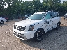 5XYP6DGC6PG****** Usados y Reparables 2023 Kia Telluride en Bridgeport