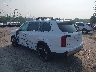 5XYP6DGC6PG****** Salvamento y Reparables 2023 Kia Telluride en Bridgeport