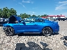 1FA6P8TH2K5****** Salvamento 2019 Ford Mustang