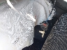 JF2GTACC5K8****** Salvage 2019 Subaru Crosstrek in Pennsylvania State