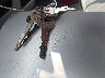 1FTDF15Y1RL****** Salvamento 1994 Ford F-150 en Estado de Washington