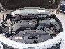 1N4AL3APXEC****** Reparables 2014 Nissan Altima en Austin