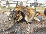 WBA3N7C58EF****** Salvamento y Destrozados 2014 BMW 4 Series en Fort Worth North