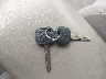4T1BE32K86U****** Salvage 2006 Toyota Camry in North Carolina State
