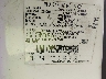 1FMYU03195K****** Used 2005 Ford Escape in Jacksonville