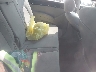 KM8NU4CC8CU****** Destrozados 2012 Hyundai Veracruz en Spokane