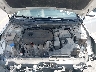5NPE34AF1KH****** Repairable 2019 Hyundai Sonata in Austin North