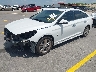 5NPE34AF1KH****** Used and Repairable 2019 Hyundai Sonata in Austin North