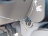 1GKDT13S252****** Salvage 2005 GMC Envoy in Virginia State
