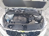 5XYPGDA59GG****** Reparables 2016 Kia Sorento en Newburgh