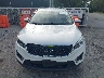 5XYPGDA59GG****** Destrozados 2016 Kia Sorento en Estado de Nueva York