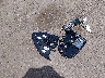 4S4WMARD9P3****** Wrecked 2023 Subaru Ascent in California State