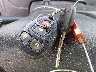 2G1WT55N981****** Salvamento 2008 Chevrolet Impala en Estado de Virginia Occidental