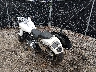 1HD1YNJ12JC****** Salvamento y Reparables 2018 Harley-Davidson Low Rider en Rec Rides Online Exclusive