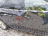 5GAKRBEDXBJ****** Salvage and Repairable 2011 Buick Enclave in Virginia State