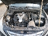5NPEC4AB5DH****** Reparables 2013 Hyundai Sonata en Denver East