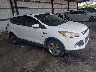 1FMCU0GX1EU****** Salvamento y Destrozados 2014 Ford Escape en Jacksonville