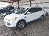 1FMCU0GX1EU****** Usados y Reparables 2014 Ford Escape en Jacksonville