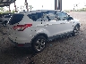 1FMCU0GX1EU****** Salvamento y Destrozados 2014 Ford Escape en Estado de Florida