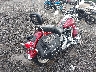 1HD1BWB1X5Y****** Salvamento y Destrozados 2005 Harley-Davidson FLSTCI en Estado de Ohio