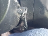 JF2SH6DC8AH****** Salvamento 2010 Subaru Forester en Estado de Carolina del Sur