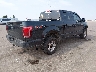 1FTEW1EG6FF****** Salvage and Wrecked 2015 Ford F-150 in Colorado State