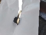2HJYK16536H****** Salvamento 2006 Honda Ridgeline en Estado de Nueva Jersey