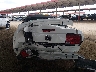 1ZVFT84N455****** Destrozados 2005 Ford Mustang