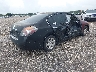 1N4AL21E39N****** Salvamento y Destrozados 2009 Nissan Altima en Estado de Florida