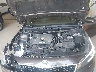 3KPFK4A73HE****** Reparables 2017 Kia Forte en Minneapolis Saint Paul