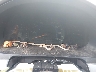 5FNRL38648B****** Salvamento 2008 Honda Odyssey en Greenville