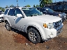 1FMCU0E78AK****** Salvage and Wrecked 2010 Ford Escape in Detroit