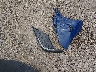 4T1G11AK3PU****** Wrecked 2023 Toyota Camry in Louisiana State