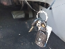 KMHCU5AE9HU****** Salvage 2017 Hyundai Accent in Maryland State