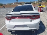 2C3CDXGJ1PH****** Destrozados 2023 Dodge Charger