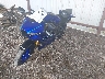 MH3RH25E6TK****** Used and Repairable 2026 Yamaha YZF-R3 in Rec Rides Online Exclusive