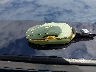 5YJSA1S2XFF****** Salvage 2015 Tesla Model S in California State